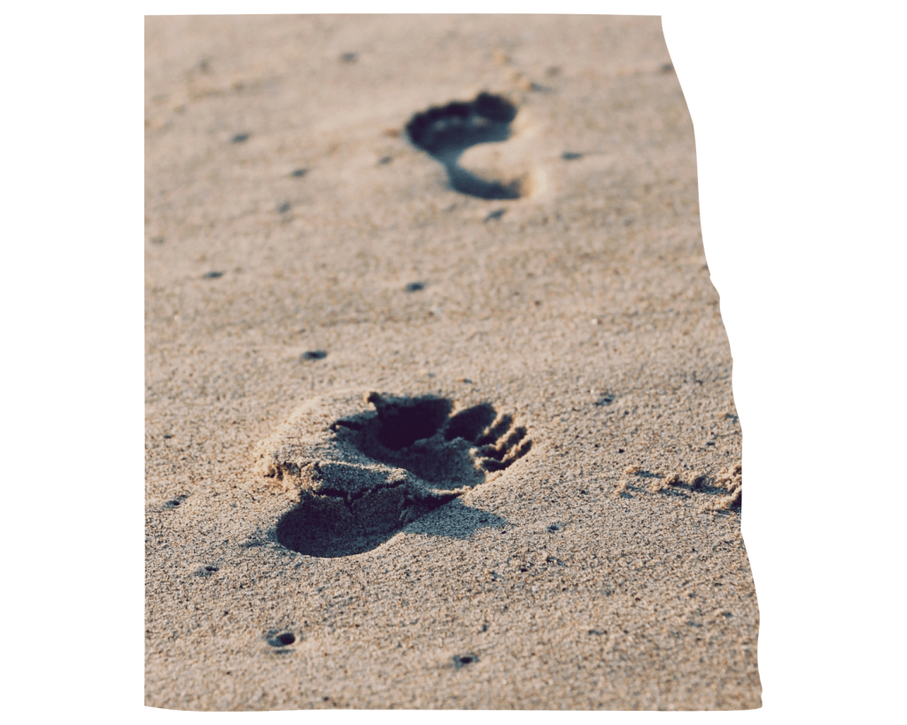 Feet by Christopher Sardegna